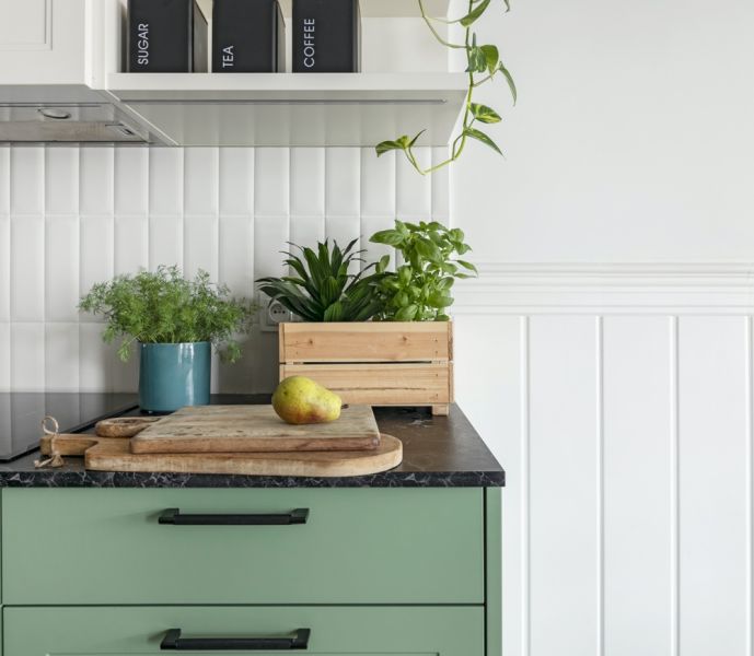 studio katarzyny bosackiej