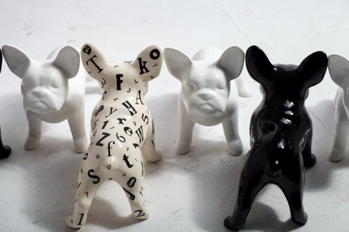 Z miłości do buldożka francuskiego