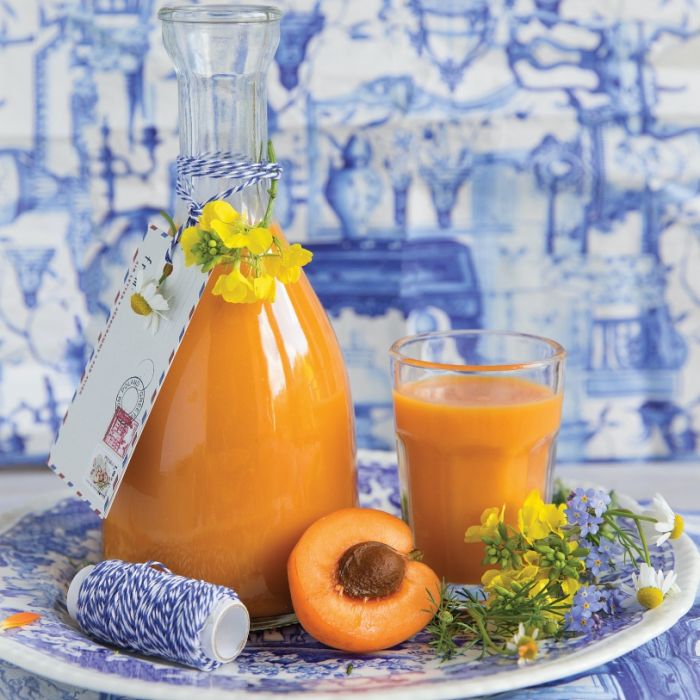 przepisy na dania z morelami