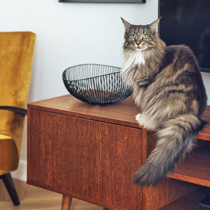 nowoczesność i vintage połączone w mieszkaniu na mokotowie