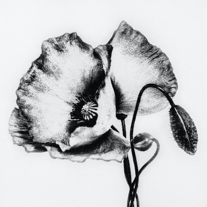 Fotografie jak malowane od Andrzeja Wiktora