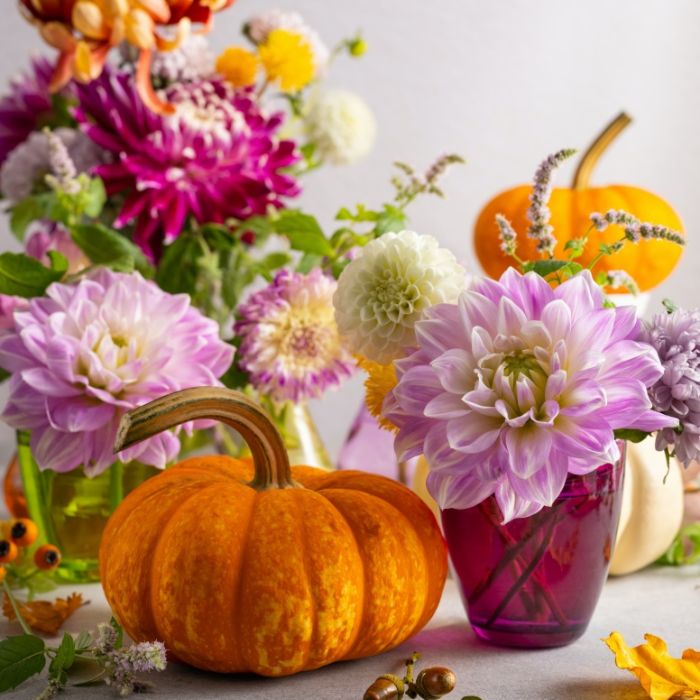 jesienne kwiaty w ogrodzie na balkonie i tarasie