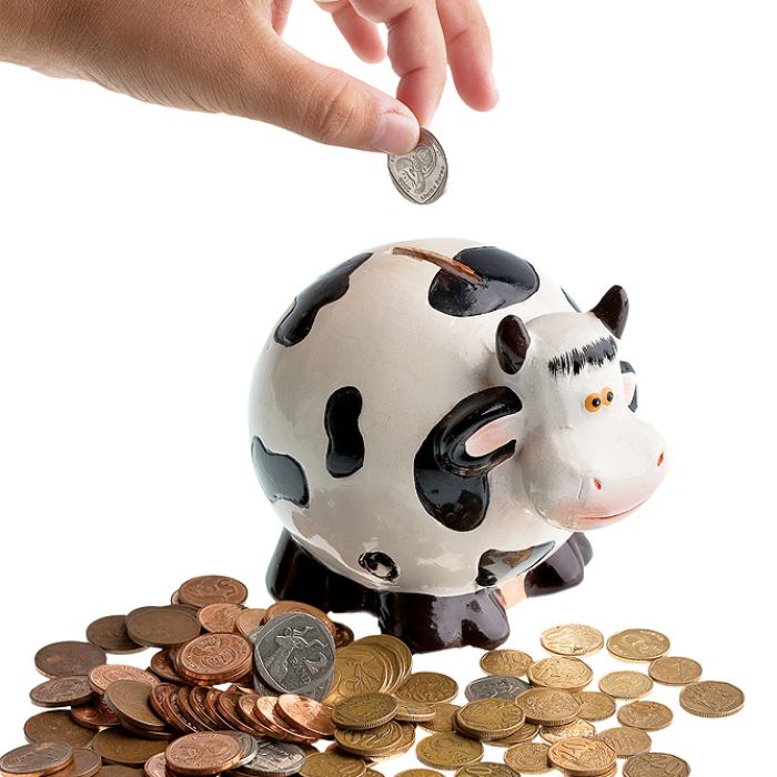 Nie wszystkie trzeba było rozbijać młotkiem. Niektóre otwierały się same, ale dopiero, gdy właściciel zebrał wymarzoną sumę.