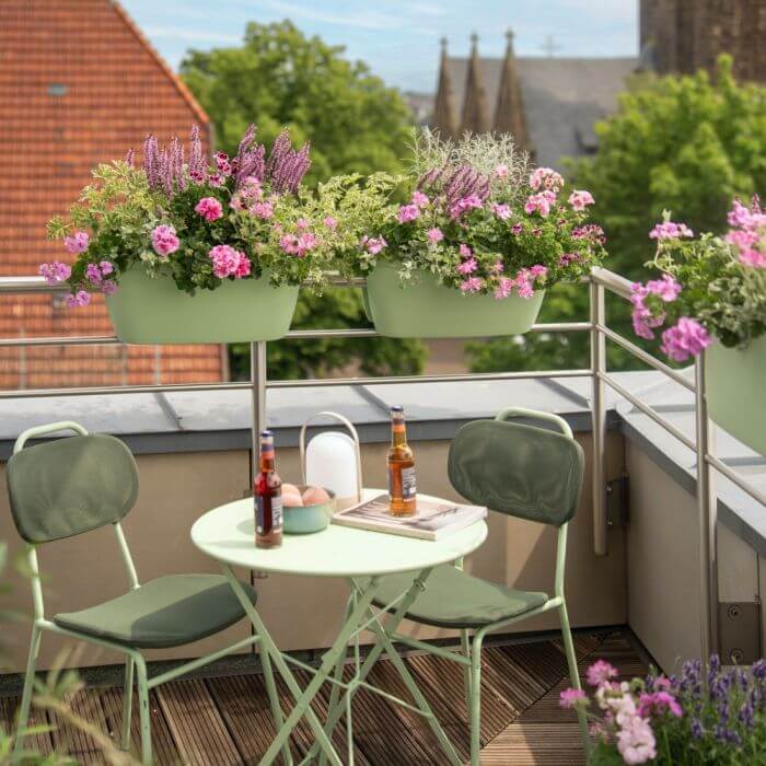 niewymagające kwiaty balkonowe