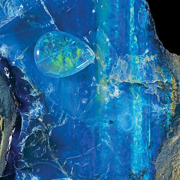 The National History Museum, Londyn.