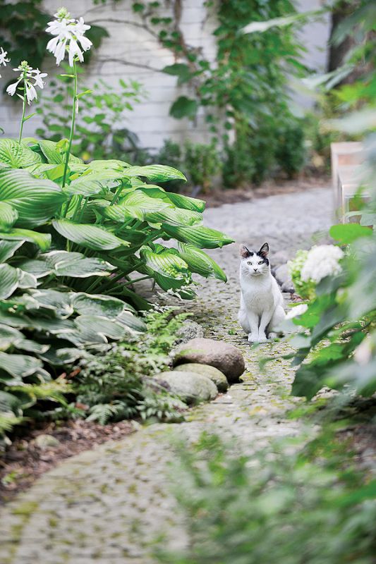 Tylko 1200 metrów kwadratowych i aż tyle. W wielkich miastach rzadko trafiają się podobne ogrody. Ten powstał w latach,