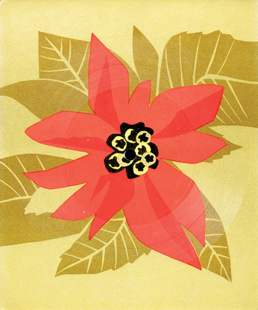 Czerwono-Czarni, Połomski i Wodecki na kwietnych pocztówkach.