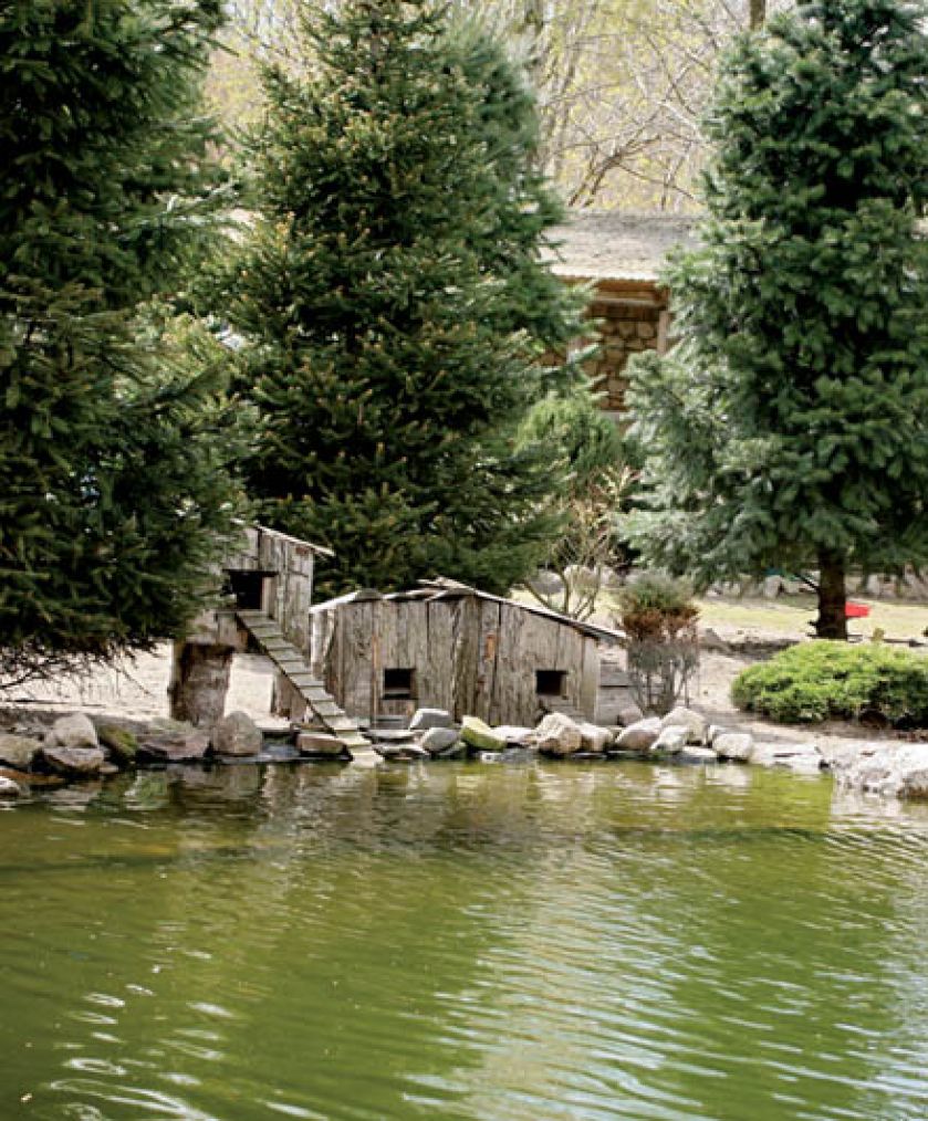 Budki dla wodnych ptaków. Ogród miłośnika ptaków