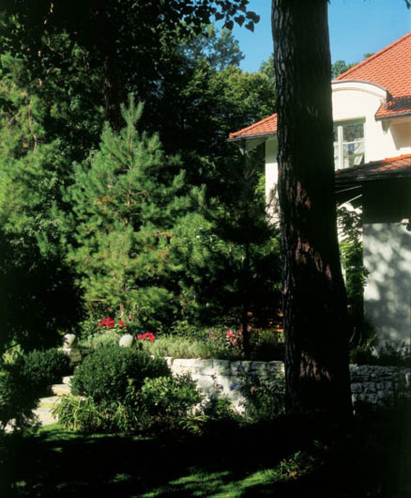 W lesie zachowało się osiem pomników przyrody. Właściciele dbają, by trzymały się jak najlepiej. Trawnik