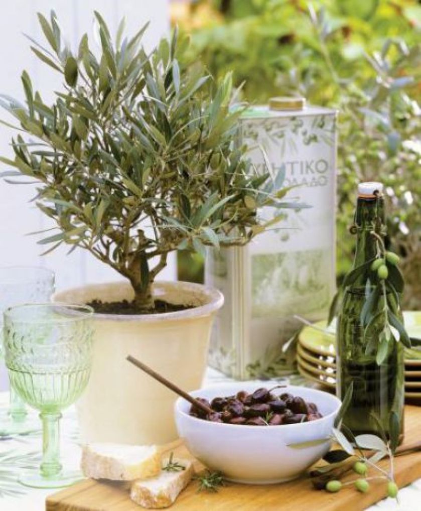 Greenery: Pantone kolor roku 2017