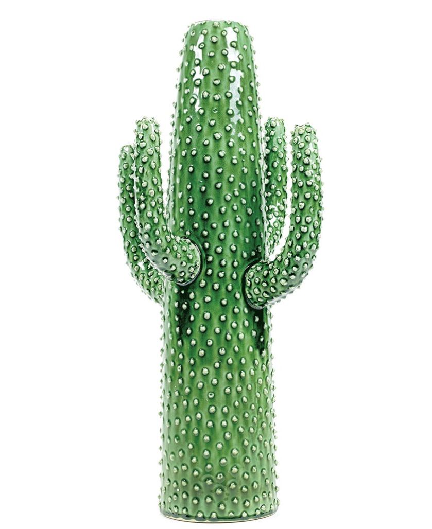 Dodatki do wnętrz: tropikalne rośliny i kwiaty