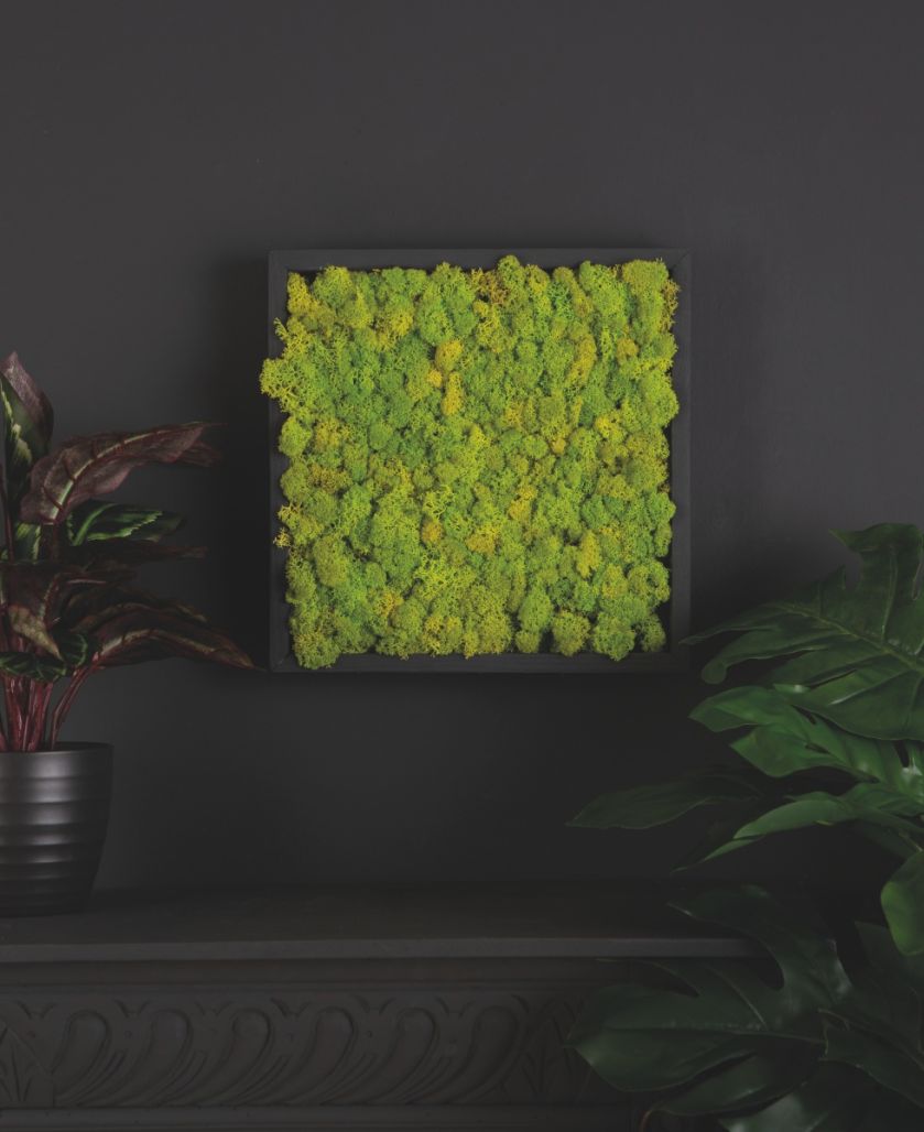 Zielona ściana z chrobotka reniferowego, Dowsing and Reynolds, dowsingandreynolds.com