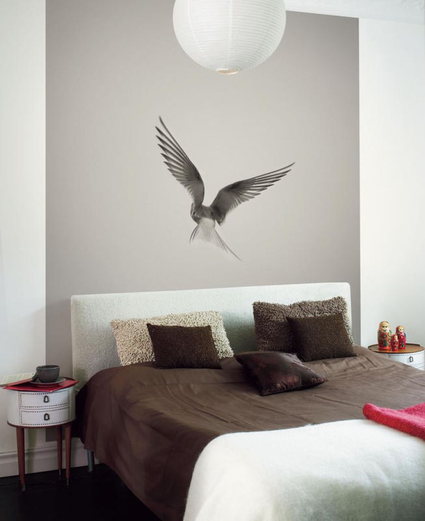 Kolekcja Photo, tapeta Dove, Mr Perswall