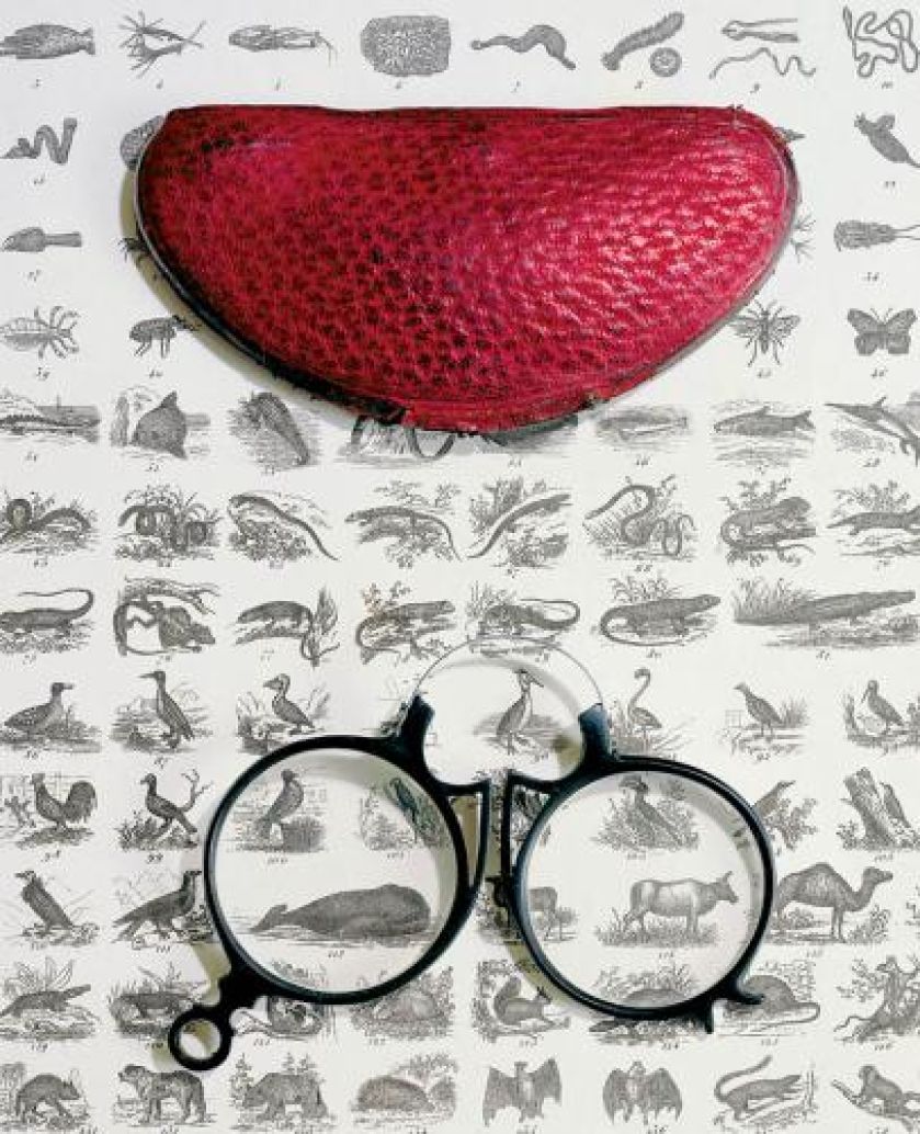 Binokle z etui, koniec XIX w., fot. FORUM.