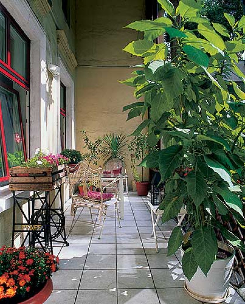 Idealne miejsce na przerwę w słoneczny dzień.