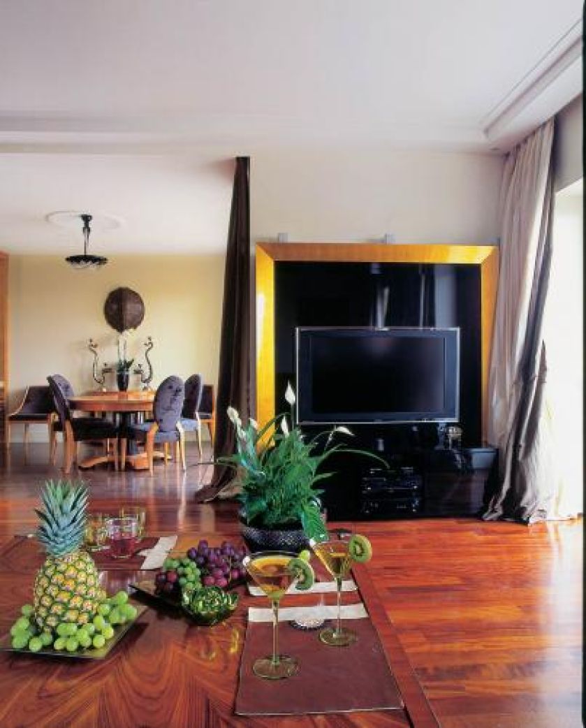 Telewizor w złotej ramie. Pamiętnik podróży