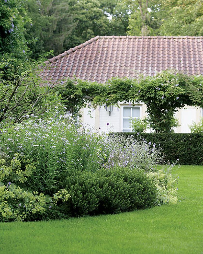 Dom ukryty wśród zieleni. Ogród w lesie