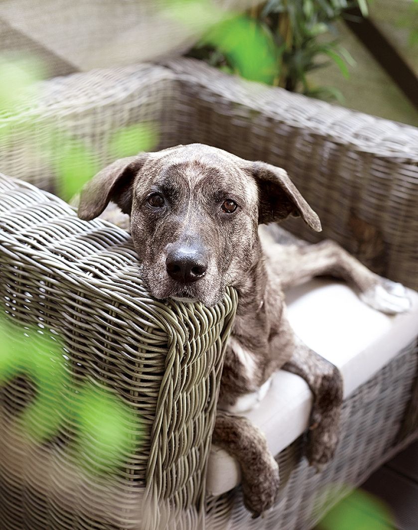 Na tarasie Hanny Samson. Na tarasie Hanny Samson