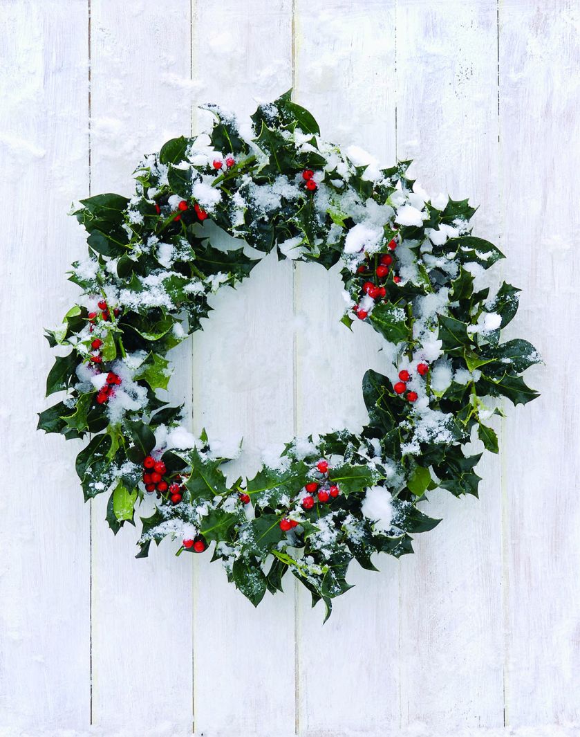 Wieniec z ostrokrzewu