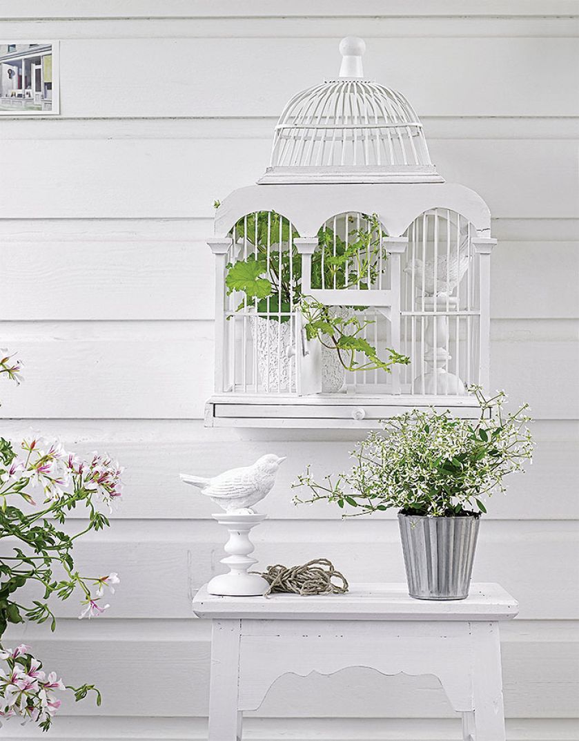W stylu prowansalskim: biała delikatna klatka z zielonymi roślinami w środku.