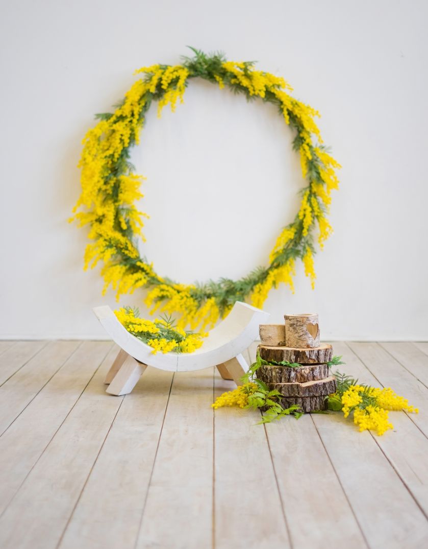 żółte kwiaty nawłoć pospolita