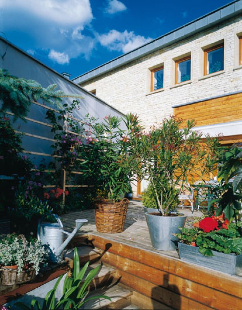 Rośliny w donicach sprawiają wrażenie, że taras i ogród przenikają się.