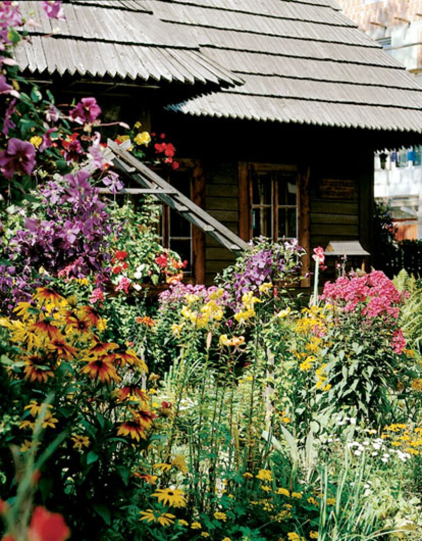 Rudbekie, liliowce, klematisy, begonie... dom tonie pośrod rożnokolorowych kwiatów.