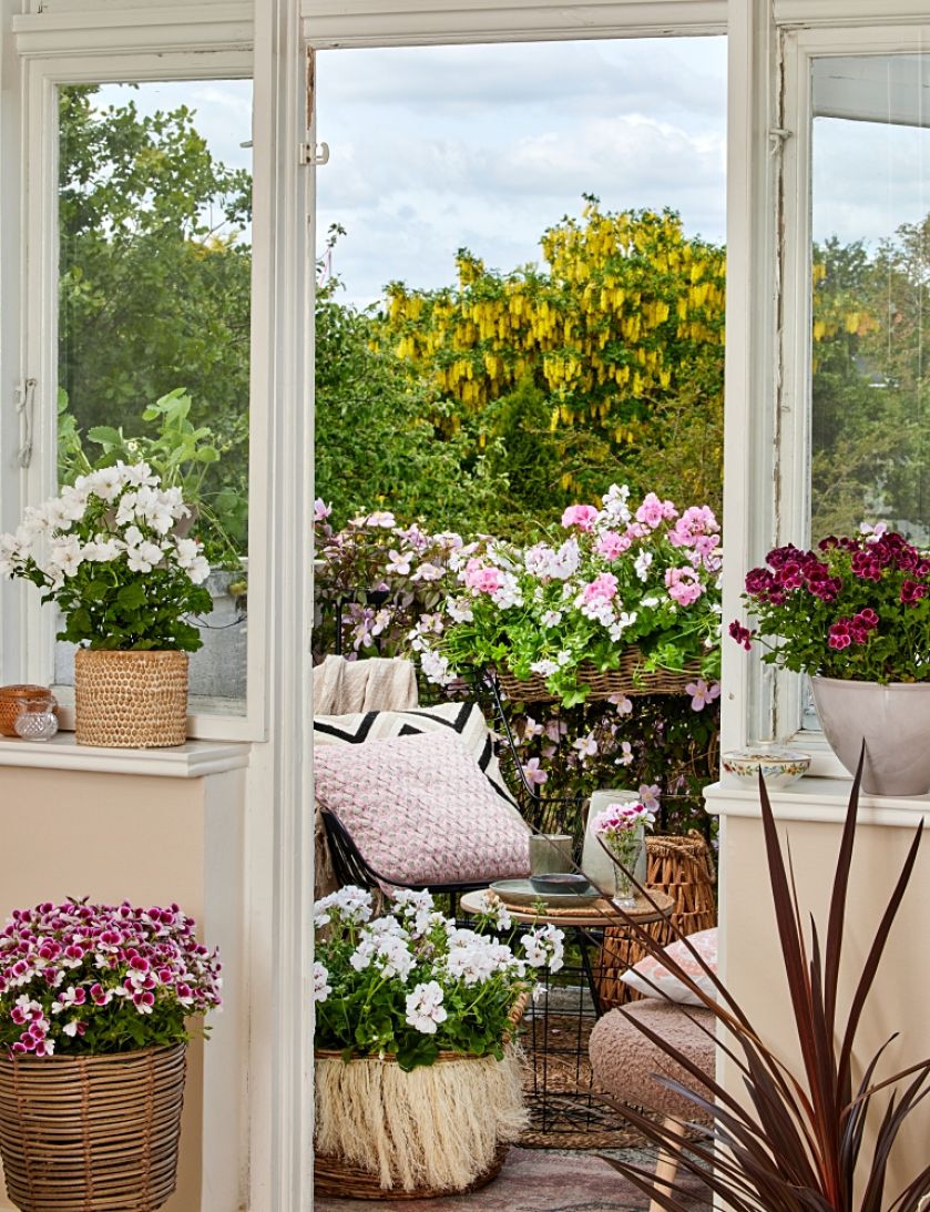 okno balkonowe w kwiatach