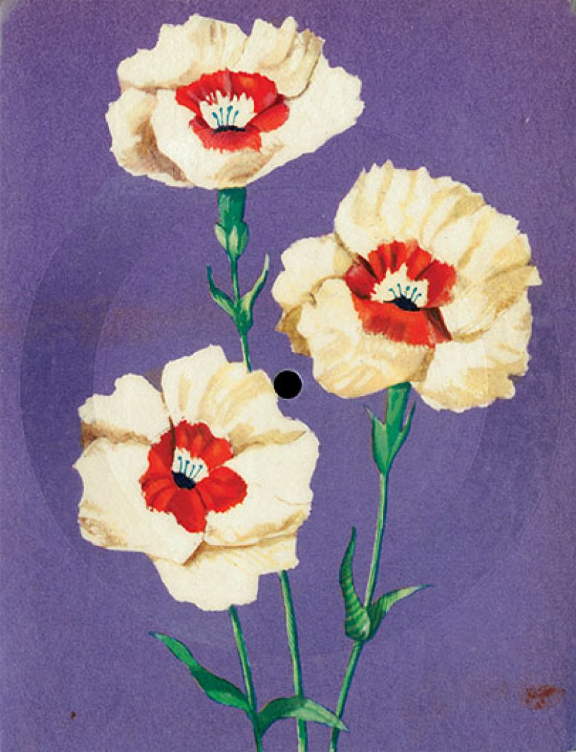 Czerwono-Czarni, Połomski i Wodecki na kwietnych pocztówkach.