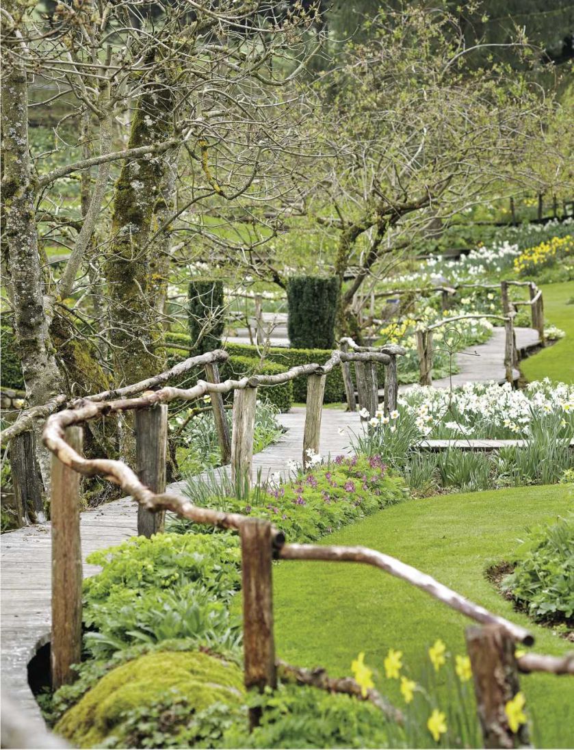 Milion i jeden narcyzów