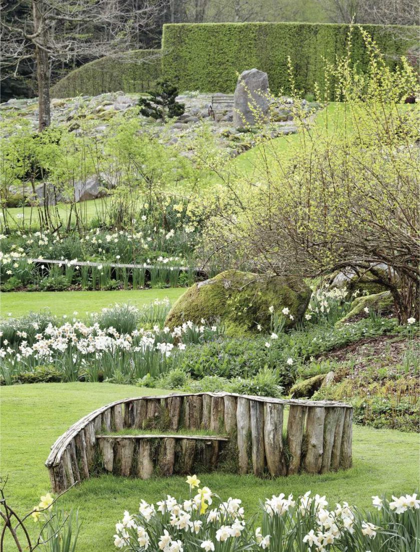 Milion i jeden narcyzów