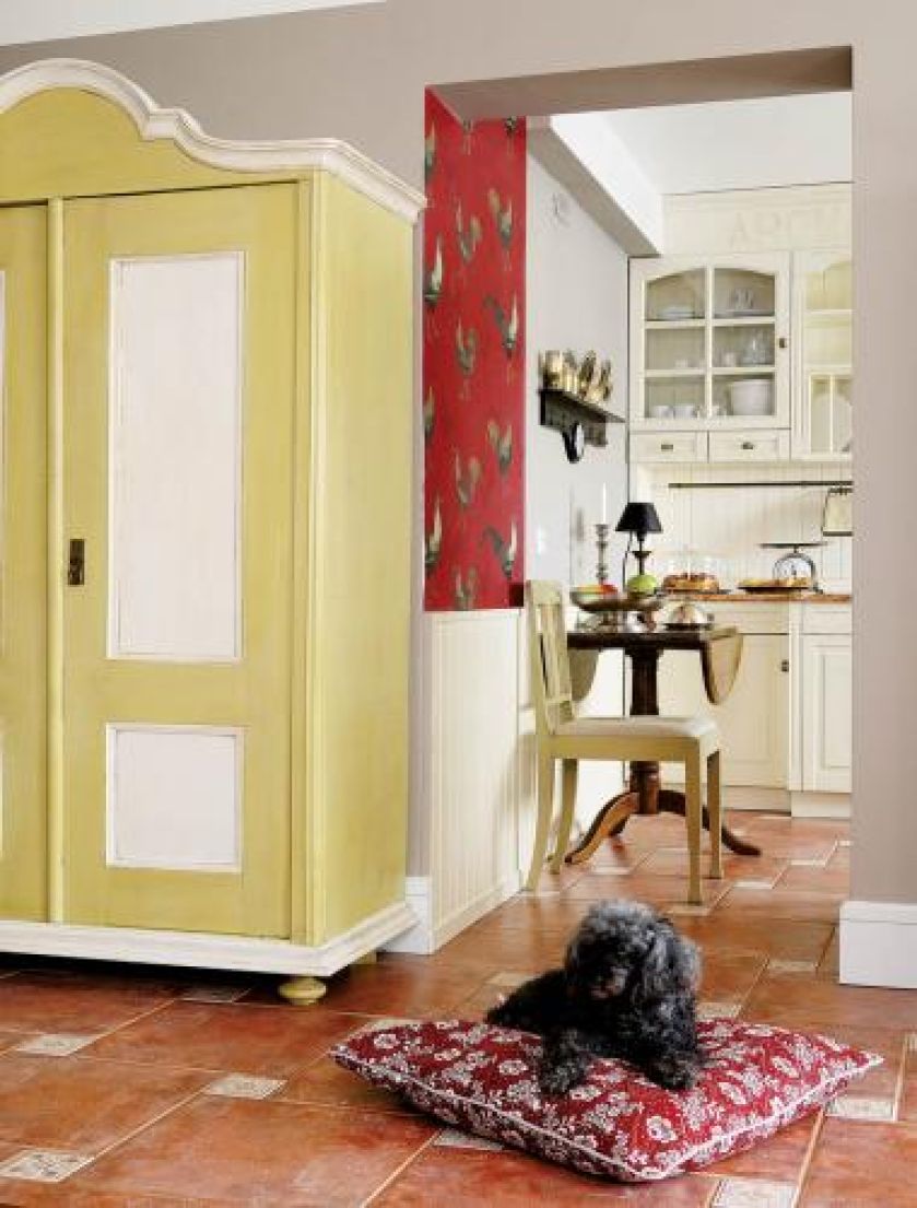 Pudel państwa Kocójów na poduszcze. W krainie drobiazgów