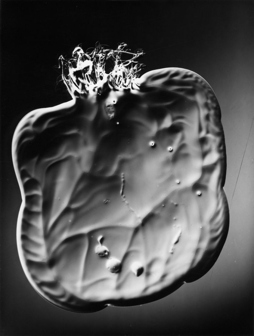 Marek Piasecki, Bez tytułu, 1959. 17. edycja projektu Fotografia Kolekcjonerska: WYSTAWA I AUKCJA MISTRZÓW POLSKIEJ FOTOGRAFII