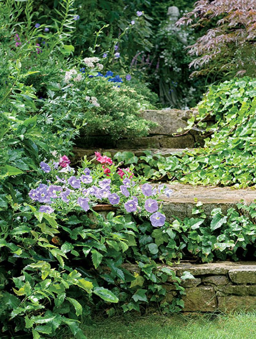 Co rusz schodki, nieduże placyki – już dawno pokrył je mech, dzięki czemu ogród jeszcze