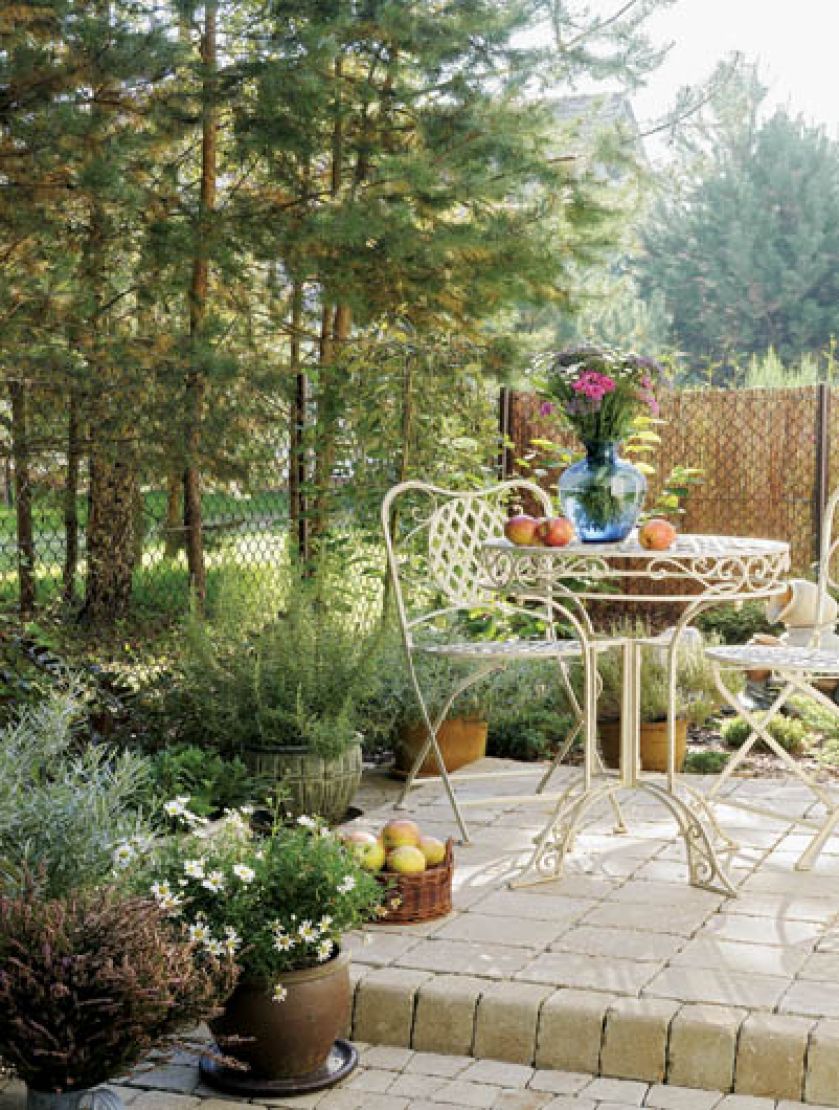 Las jest naturalny, trochę dziki, taki nieuczesany. Z przodu poletko lawendy, a od południa drzewa.