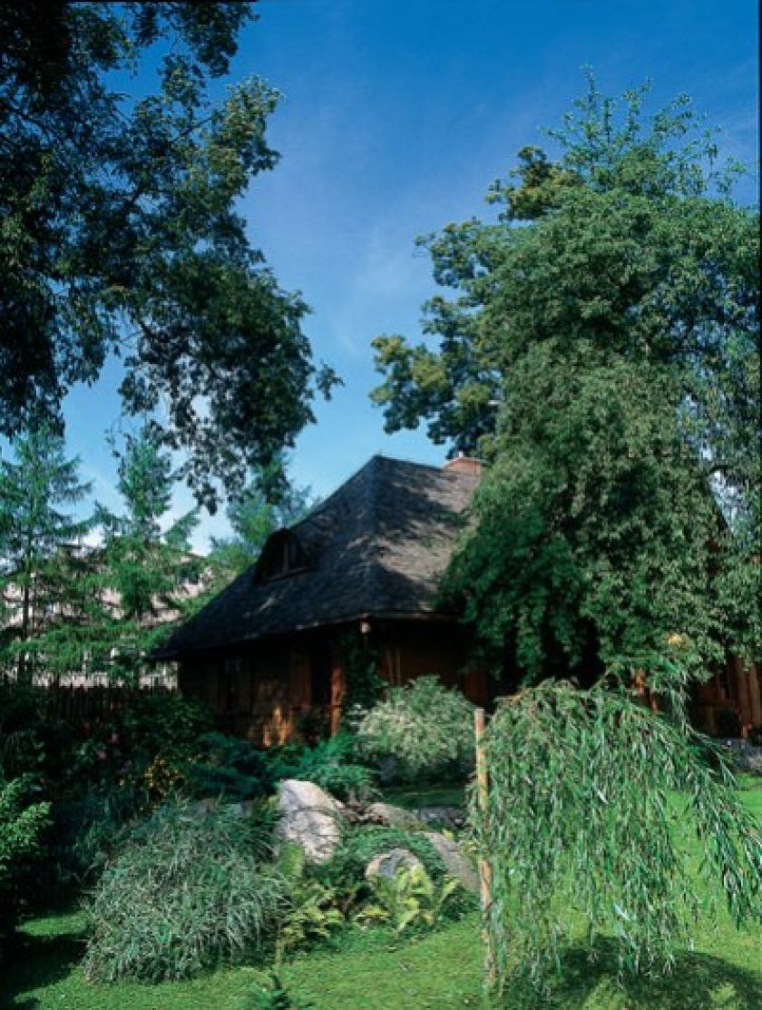 Na tym zielonym skrawku ziemi założenie ogrodu było czystą formalnoscią.