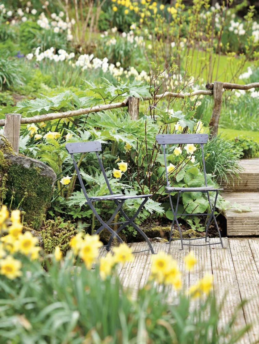 Milion i jeden narcyzów