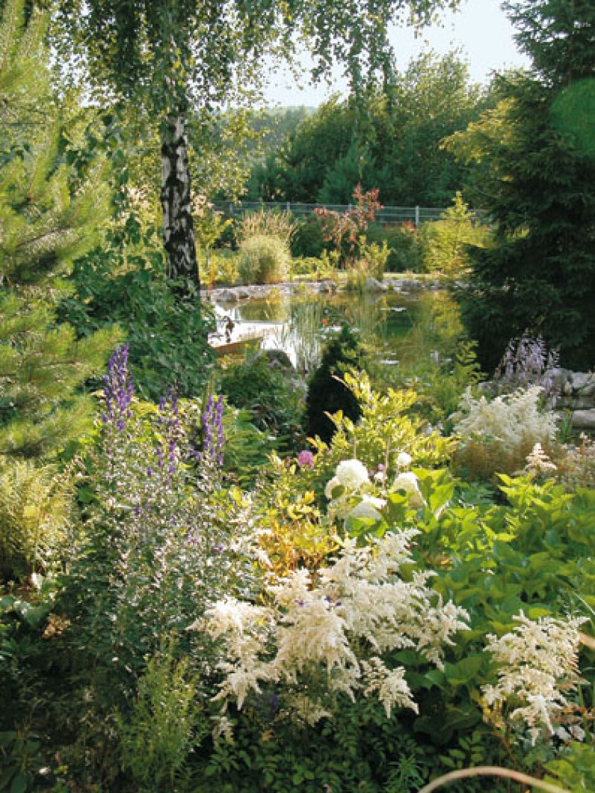 Bujna zieleń nad stawem. Dom z elewacją z wapienia