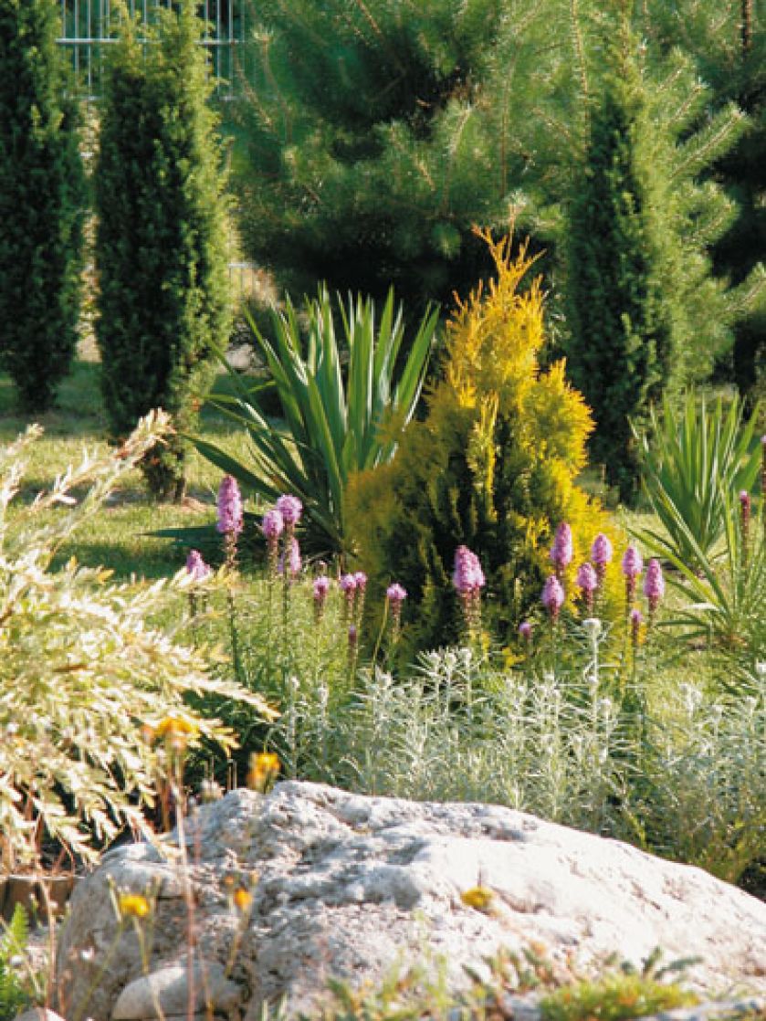 Wapienne głazy dodają malowniczości ogrodowi.