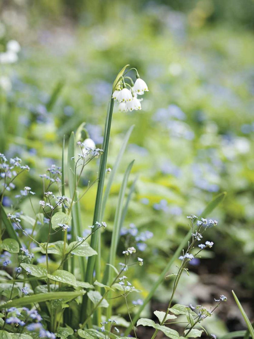Milion i jeden narcyzów