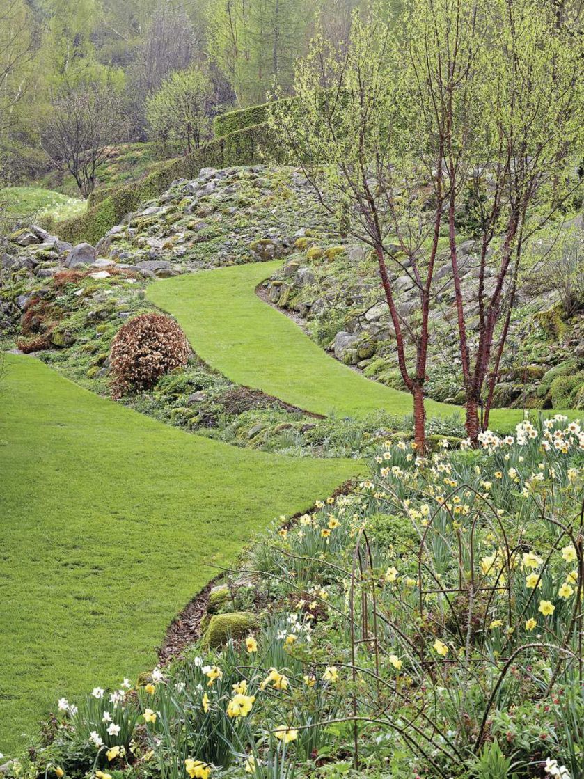 Milion i jeden narcyzów