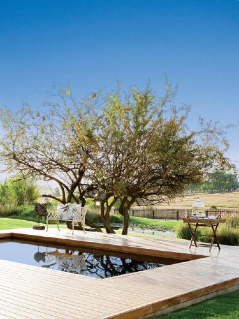 Basen otoczony drewnem. Rezydencja nad stawem