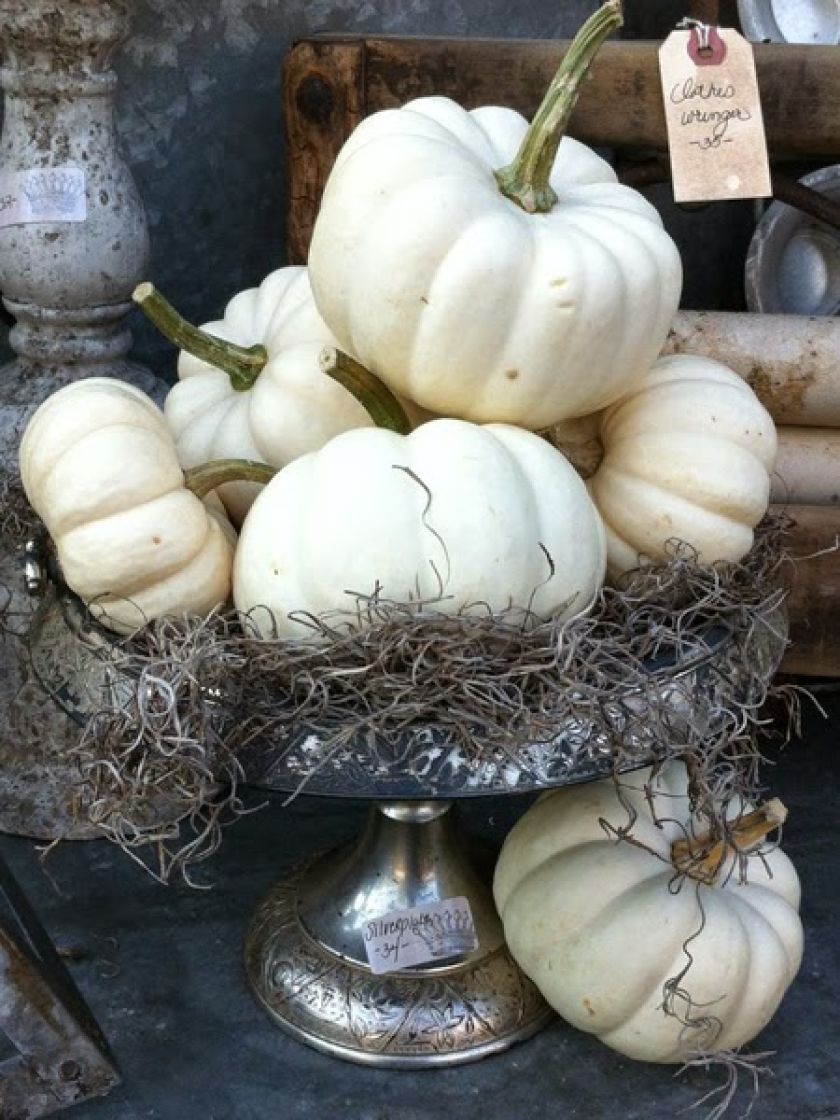 dekoracje z dyni pomysły na halloween