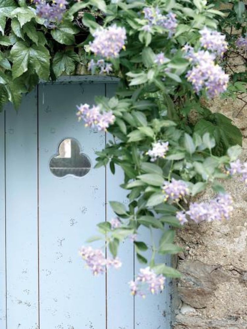 Błękitne drzwi otoczone kwitnącymi kwiatami.