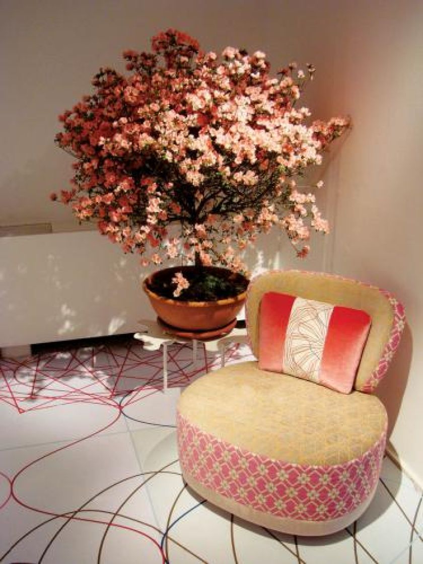 Edward van Vliet- Kolekcja Sushi, Moroso