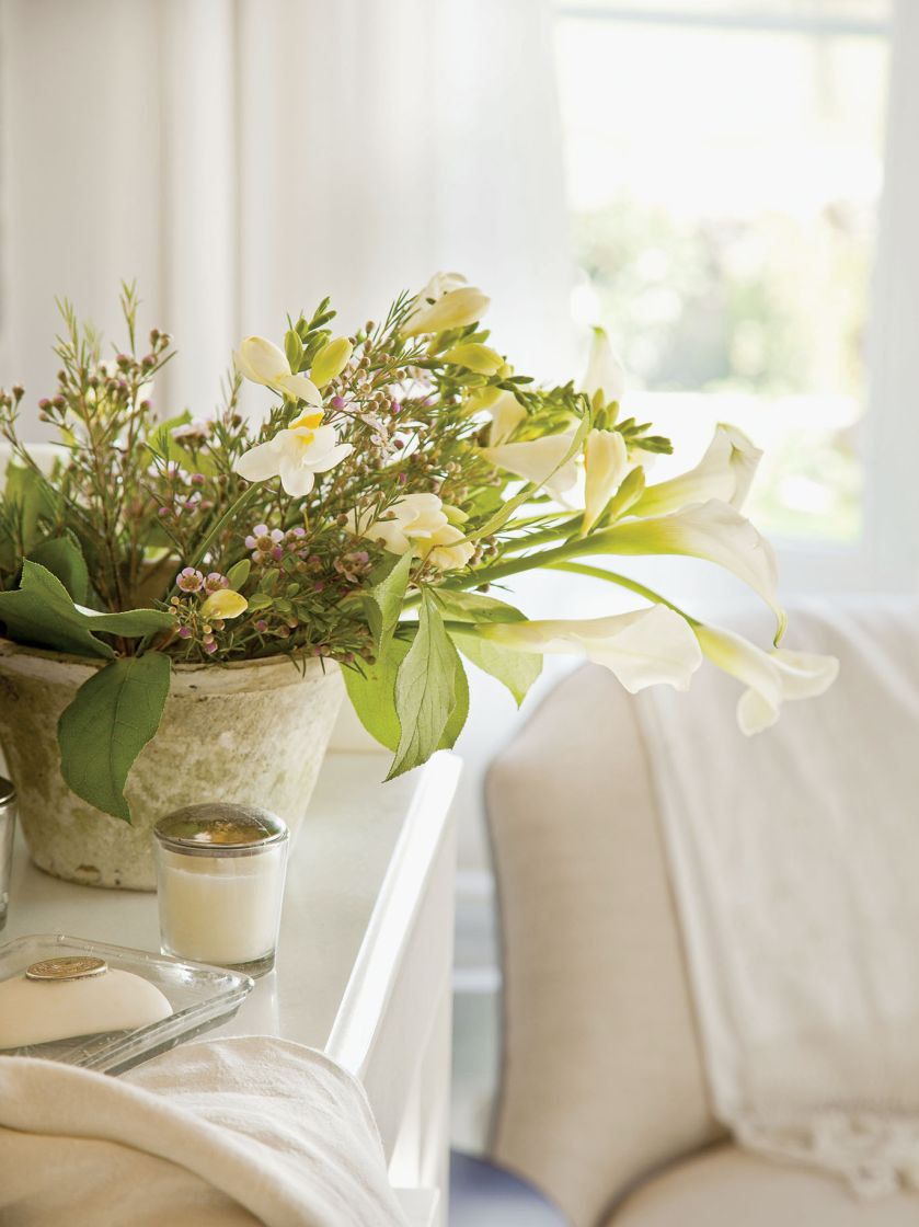 Kwiaty doniczkowe domowe - co wybrać?