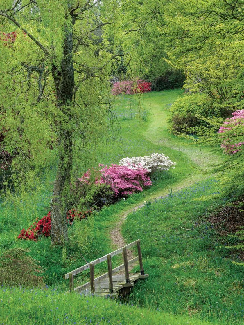 Ścieżki w ogrodzie – inspiracje, pomysły i zdjęcia