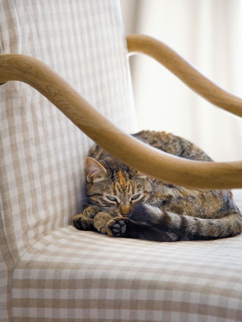 Styl prowansalski - hacjenda w słońcu