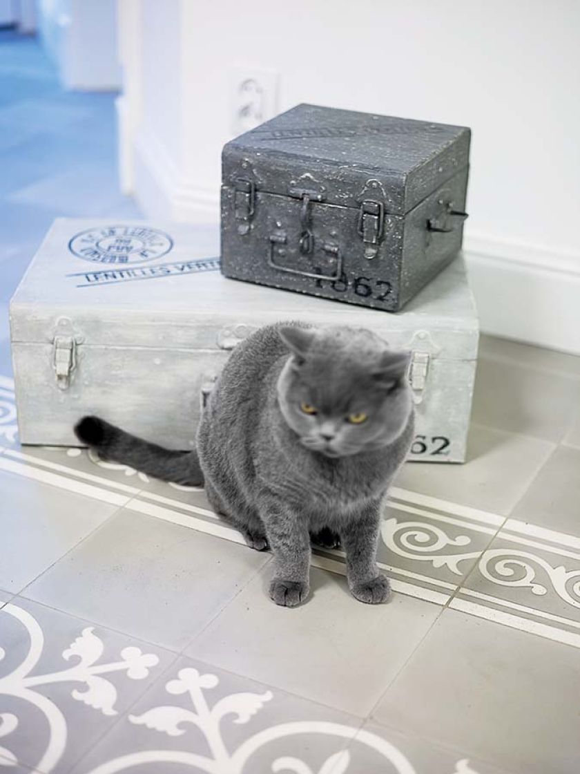 Sycylijskie korzenie Bartka i południowy temperament Dominiki. Co z tego wyniknęło? Gorące klimaty. Nie tylko