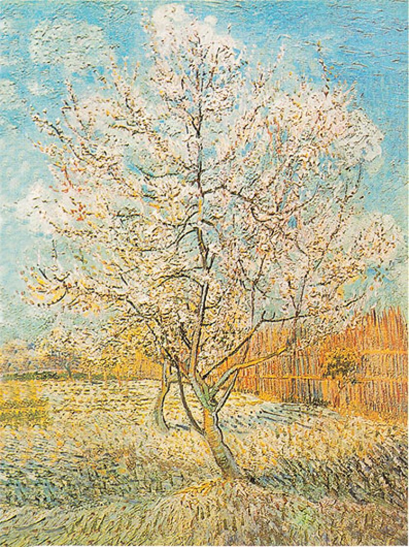 1888 r., Vincent van Gogh. Wiosenna miłość w malarstwie